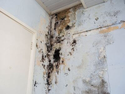 About water damage cleanup - ceiling water damage repair experts in West Point